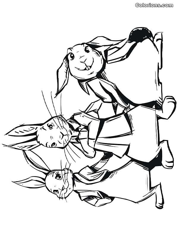 Colorions.com  impression Pierre Lapin