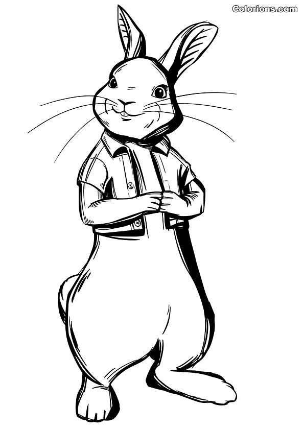 Colorions.com  impression Pierre Lapin