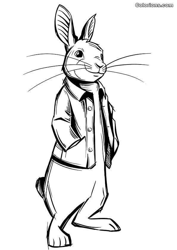 Colorions.com  impression Pierre Lapin
