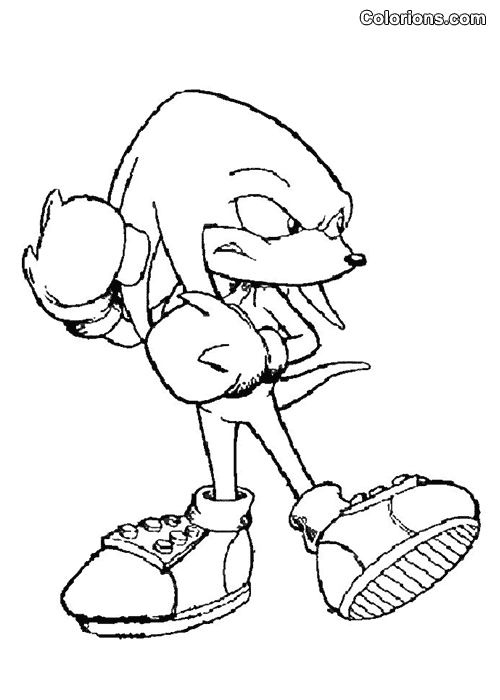 Colorions.com  impression Sonic