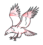 Draw an eagle