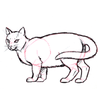 Disegnare un gatto