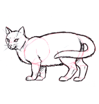 Dessiner un chat