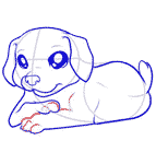 Dessiner un chiot