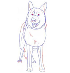 Disegnare un cane