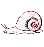 Dessiner un escargot
