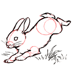 Dessiner un lapin