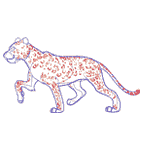Designare un leopardo
