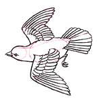 Dessiner un oiseau