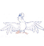 Disegnare un papagallo