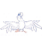 Dessiner un perroquet